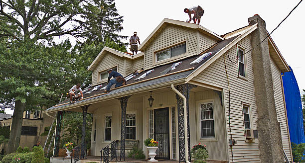 Best Local Roofing Companies  in Red Bay, AL