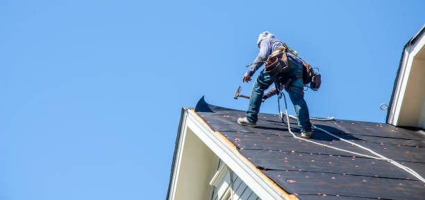 Best Storm Damage Roof Repair  in Red Bay, AL